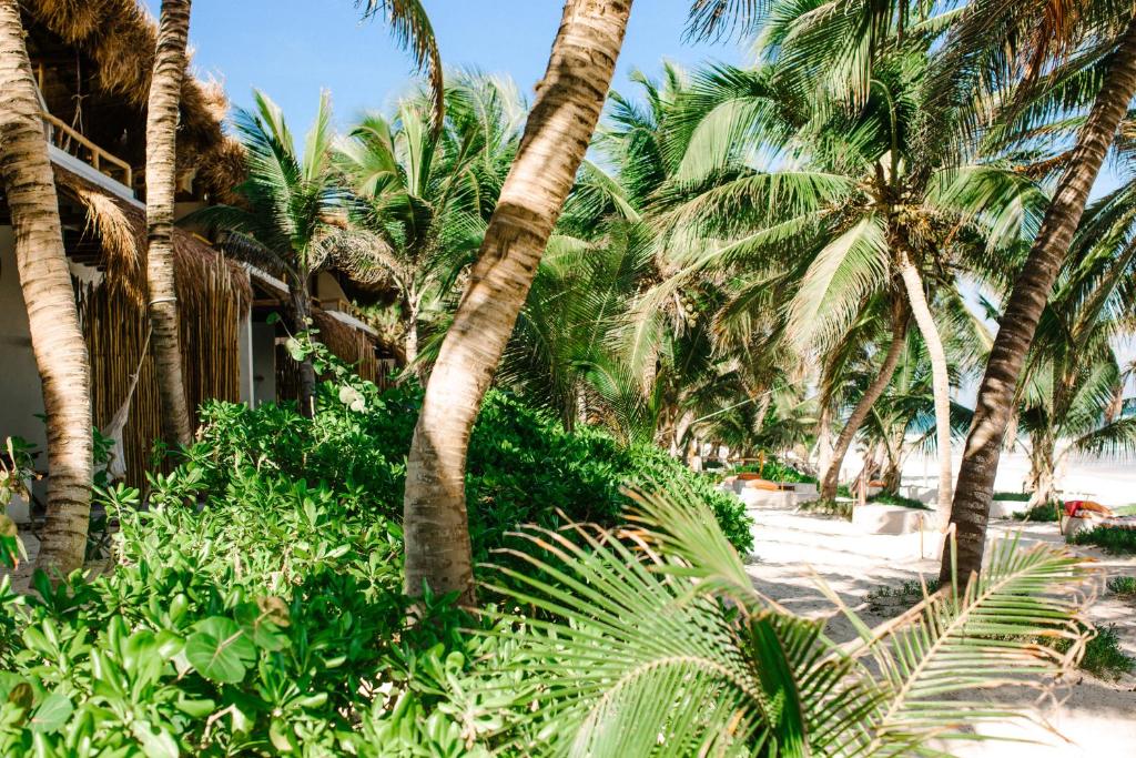 a resort with palm trees on the beach at The Beach Tulum Hotel in Tulum