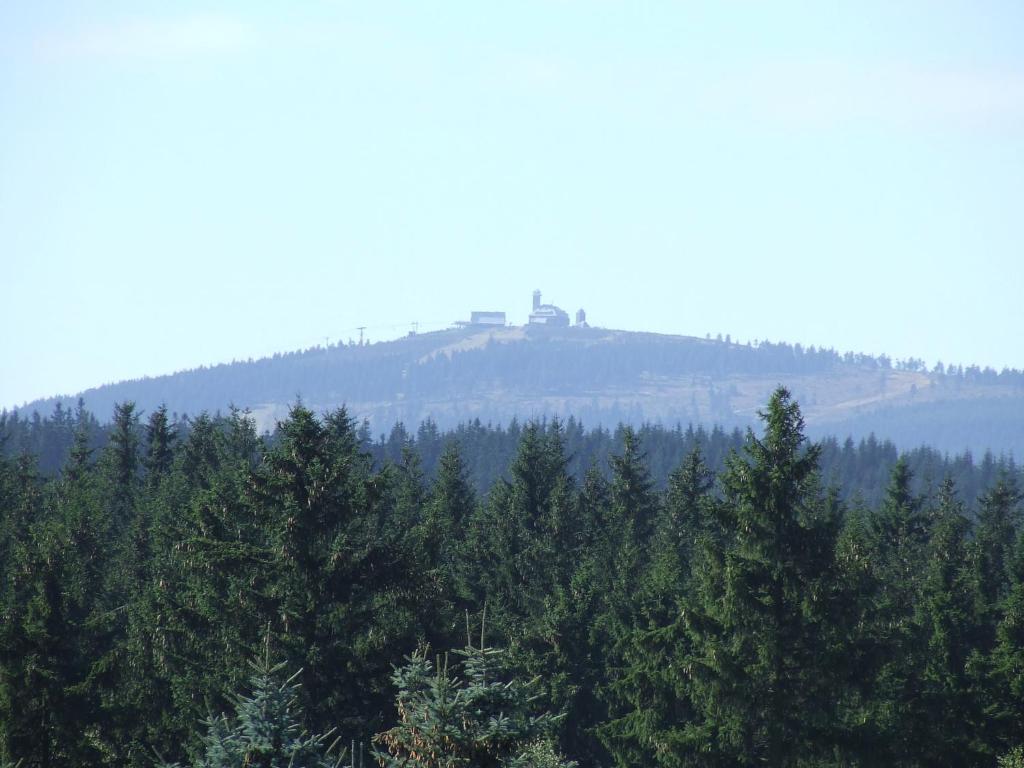 Příroda nedaleko apartmánu