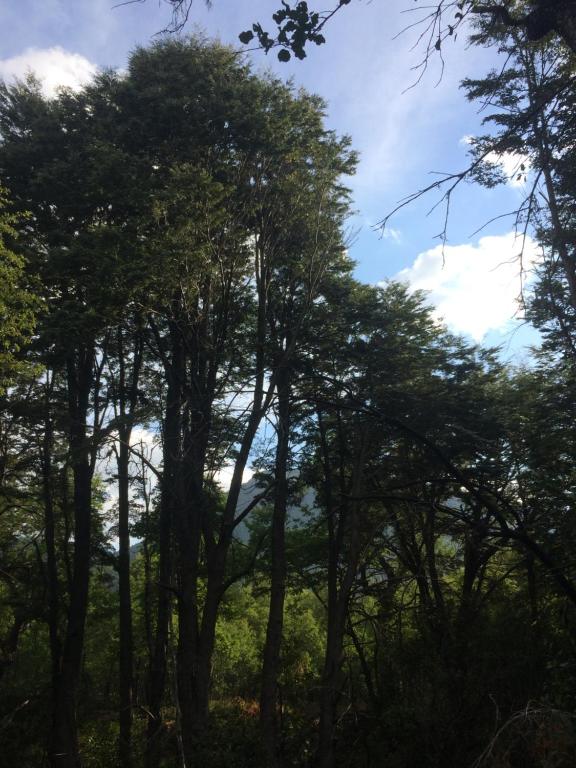Un paisaje natural cerca de la casa de vacaciones