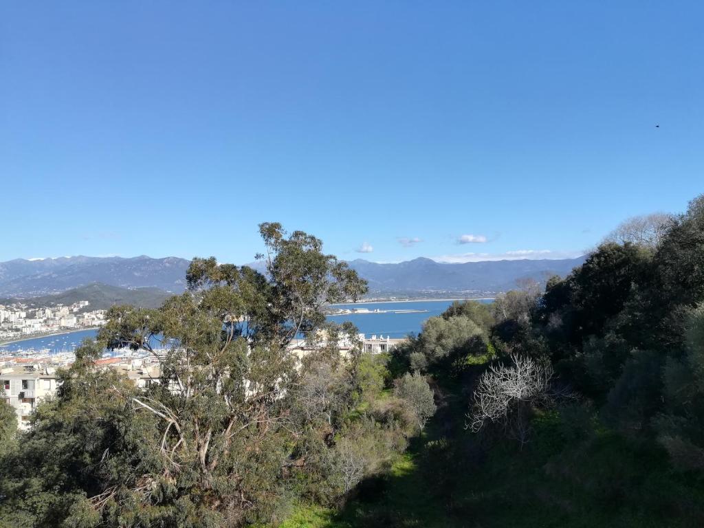 Příroda nedaleko apartmánu