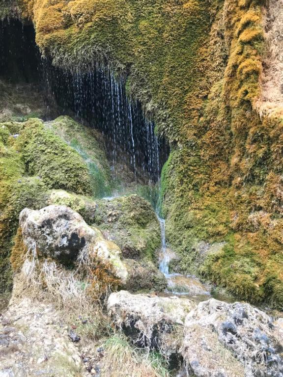 Příroda nedaleko apartmánu