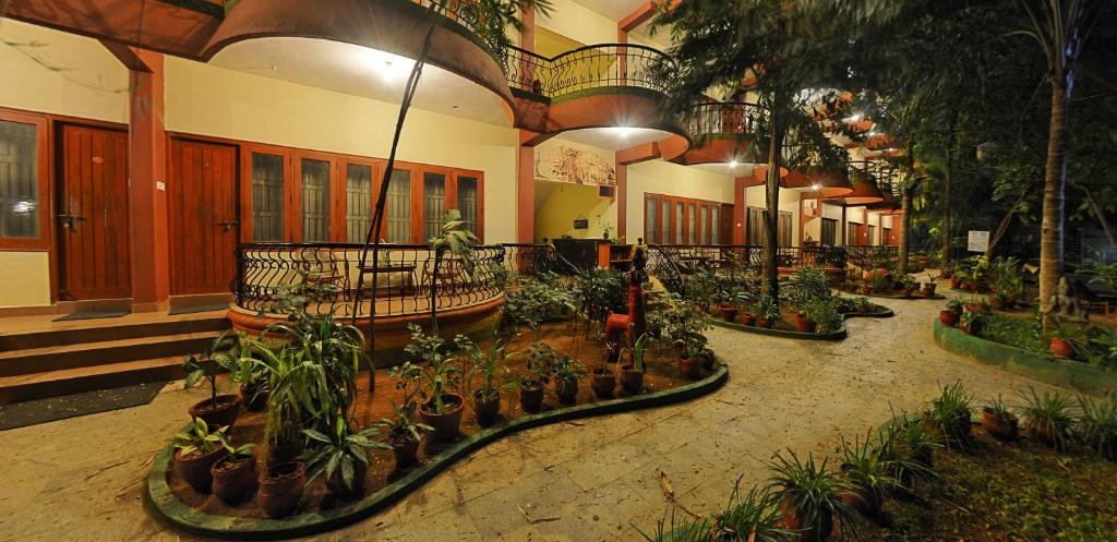 Zahrada ubytování Hotel Mahabs