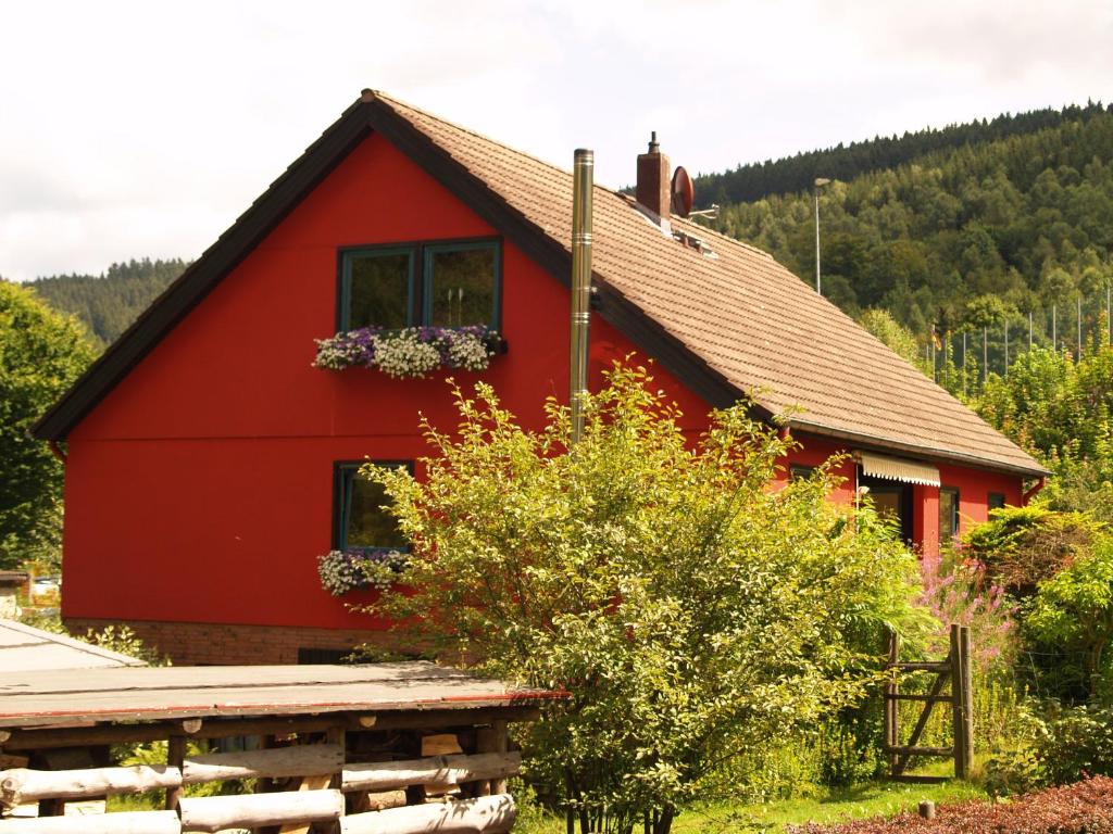 a red house with flowers in the window at Ferienwohnung An der Innerste in Wildemann