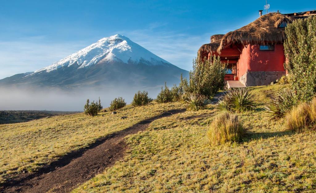 Hosteria Tambopaxi Lodge - отзывы и видео