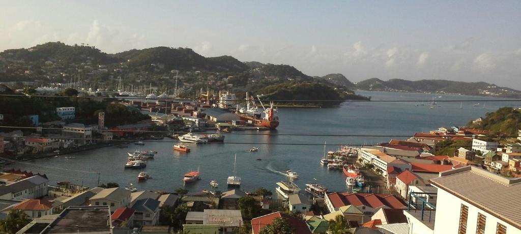 uma vista para um porto com barcos na água em Carenage View em Saint Georgeʼs