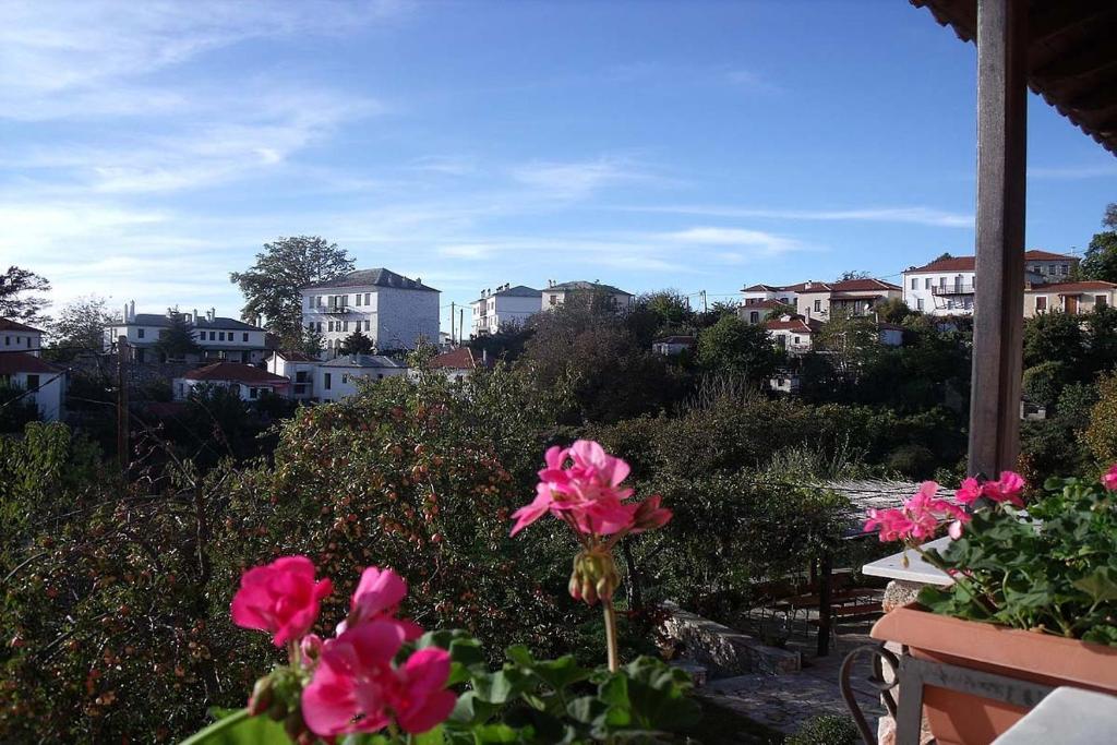 Vonkajšia záhrada v ubytovaní Klio Guesthouse