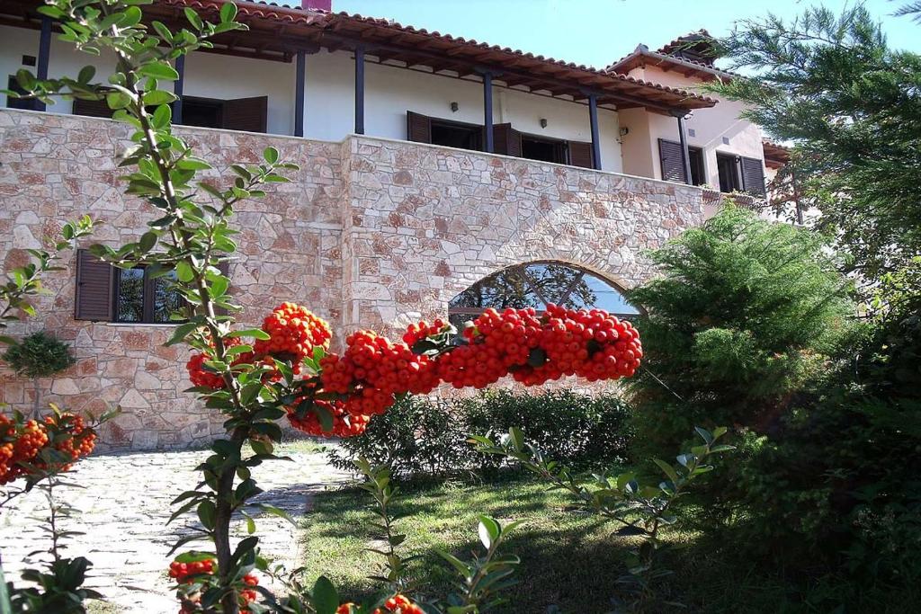 Vonkajšia záhrada v ubytovaní Klio Guesthouse