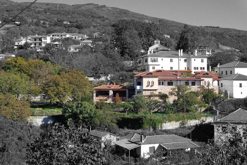 Príroda v okolí apartmánu