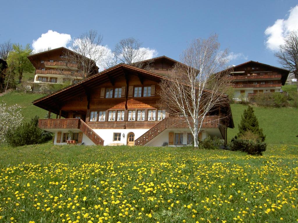 a house on a hill with a field of flowers at Chalet Unter dem Stein in Grindelwald