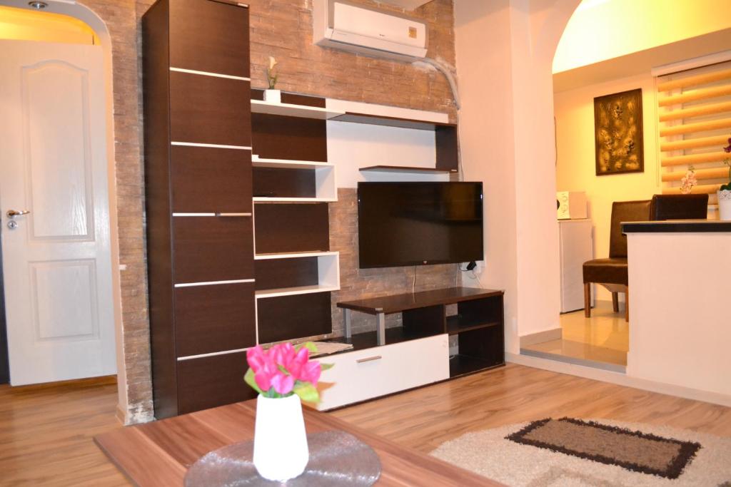 TV a/nebo společenská místnost v ubytování Apartment Ruža