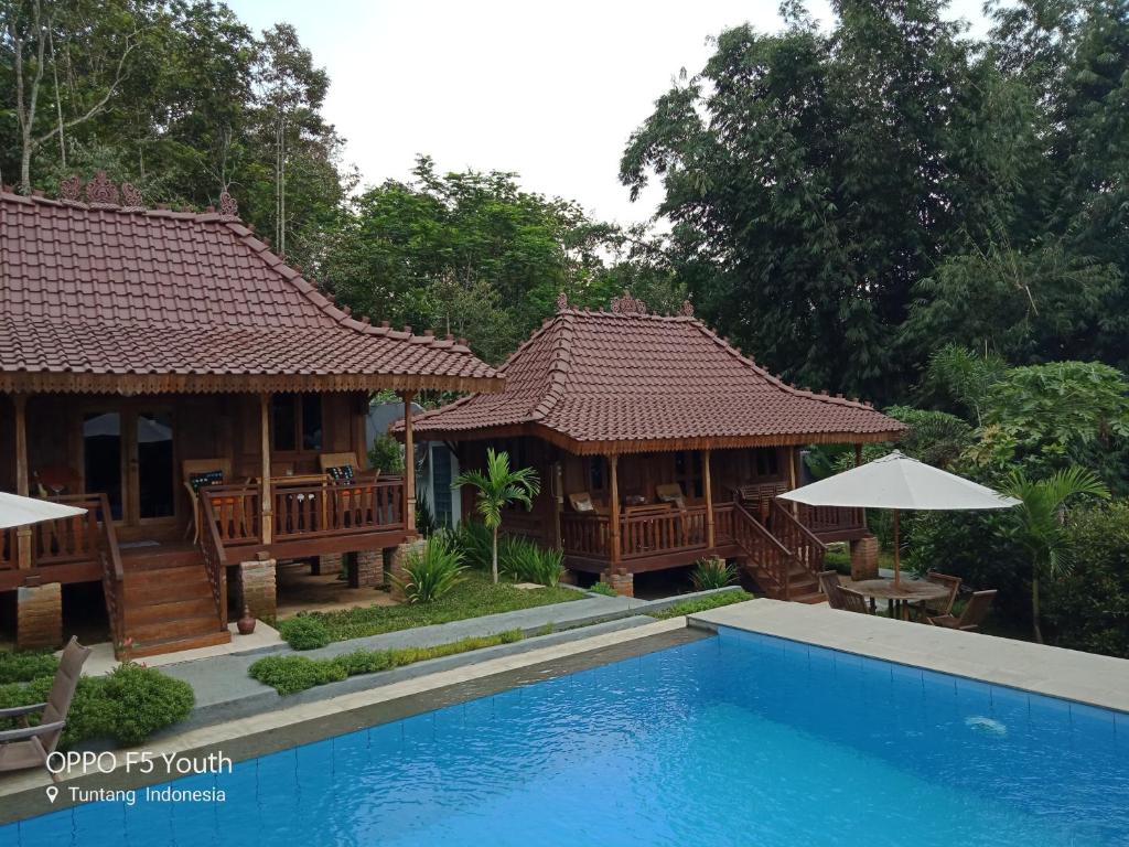 Der Swimmingpool an oder in der Nähe von Paradijs Van Java