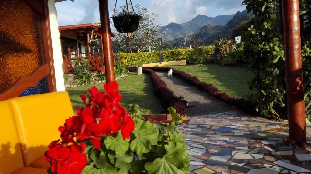 Nespecifikovaný výhled na hory nebo výhled na hory při pohledu z bed and breakfast