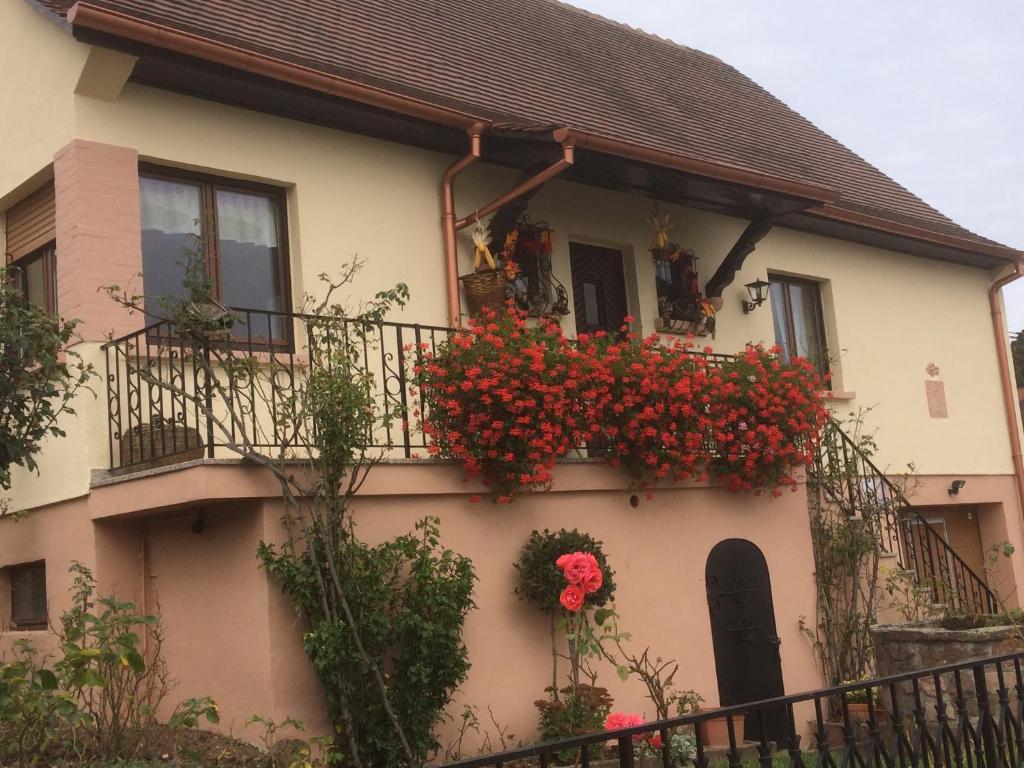 Gite Le Mandlé – photo 21