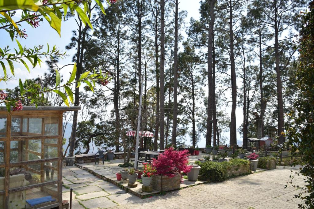 Zahrada ubytování Deodar Homestay