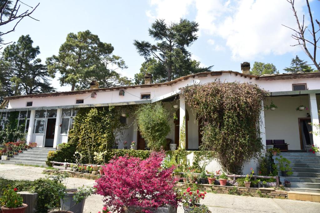 Zahrada ubytování Deodar Homestay