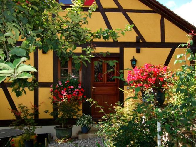 Zahrada ubytování La Pomme de Pin