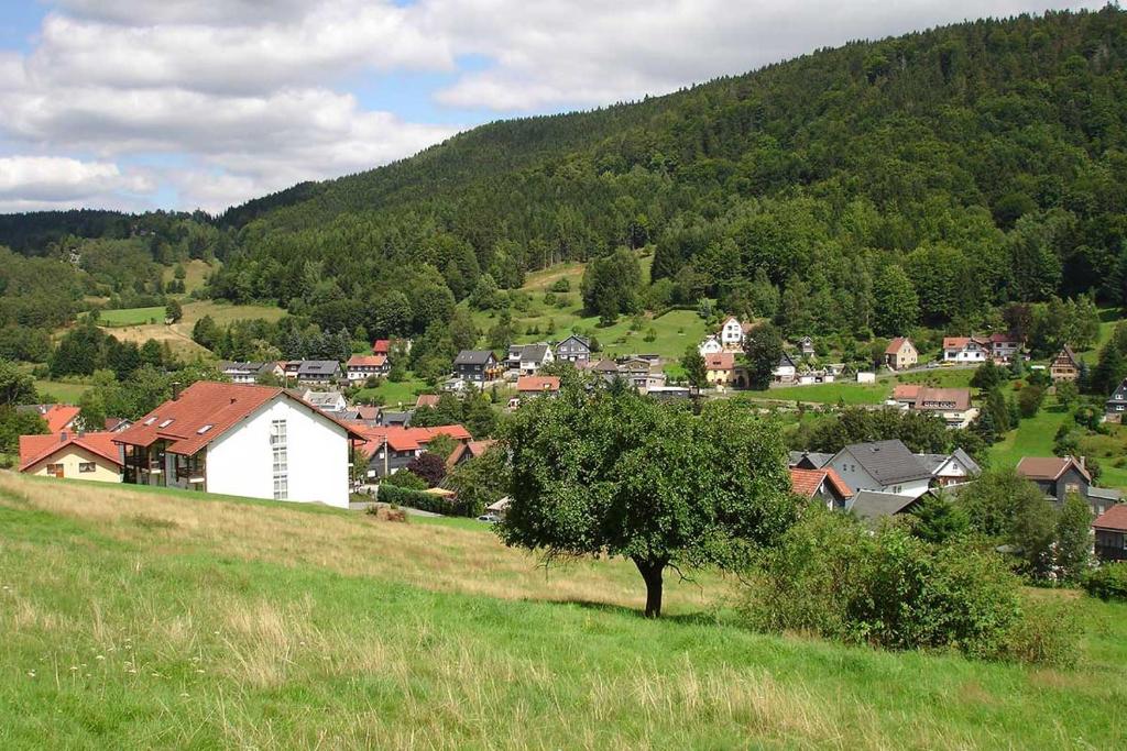 Příroda nedaleko hotelu