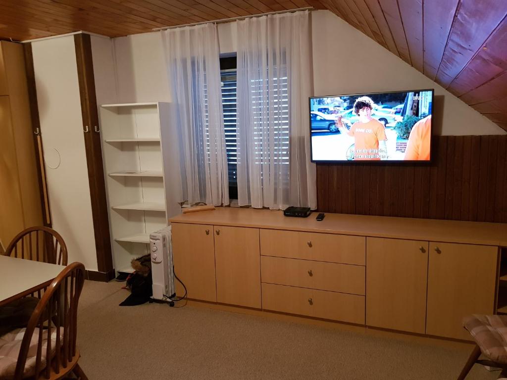 TV a/nebo společenská místnost v ubytování Apartment HM
