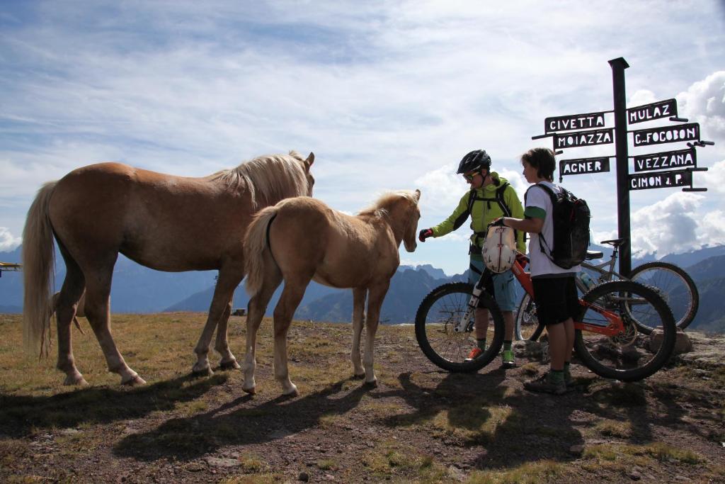 a couple of people and a horse next to a sign at Condominio Le Marmotte in Selva di Cadore