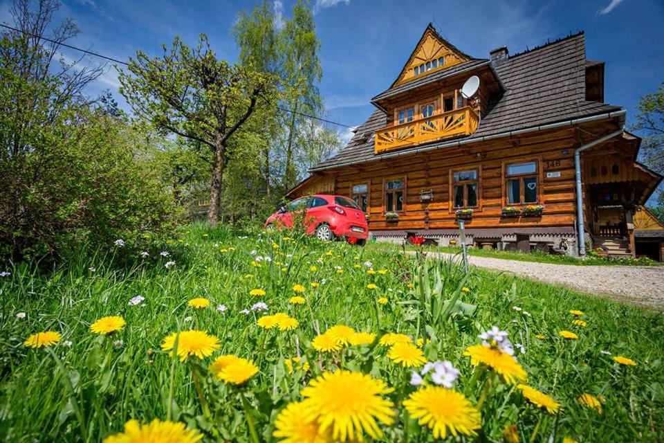 a field of flowers in front of a house at Kwatery Prywatne-Romanówka in Zakopane