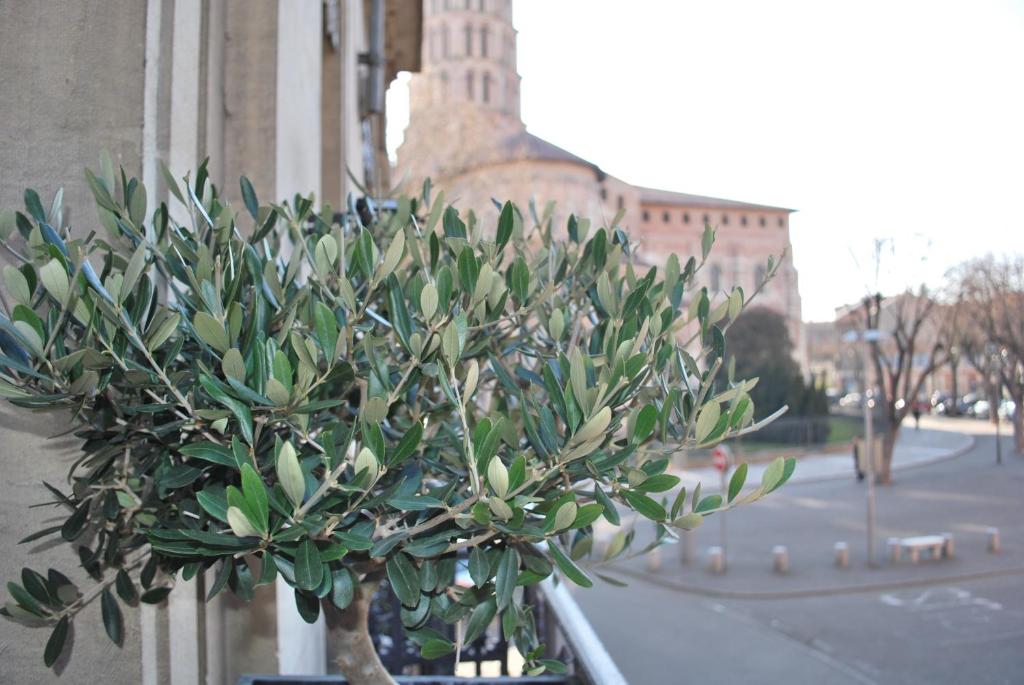 Hôtel St Sernin - Resim 3