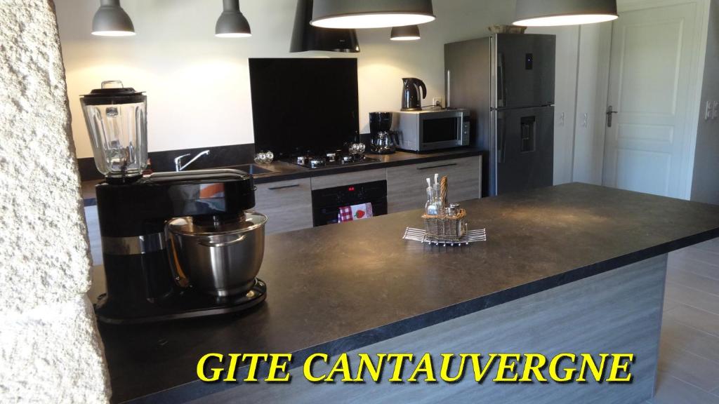 Gallery image of Gite CANTAUVERGNE in Vebret