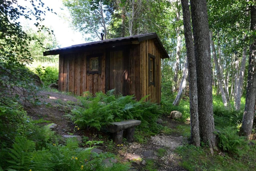 Zahrada ubytování Saia Forest House