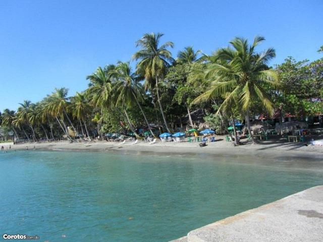 a beach with palm trees and a beach with water at Villa Ana in Pajarito