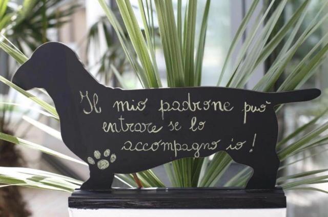 Fotografie z fotogalerie ubytování Hotel Principe v Rimini