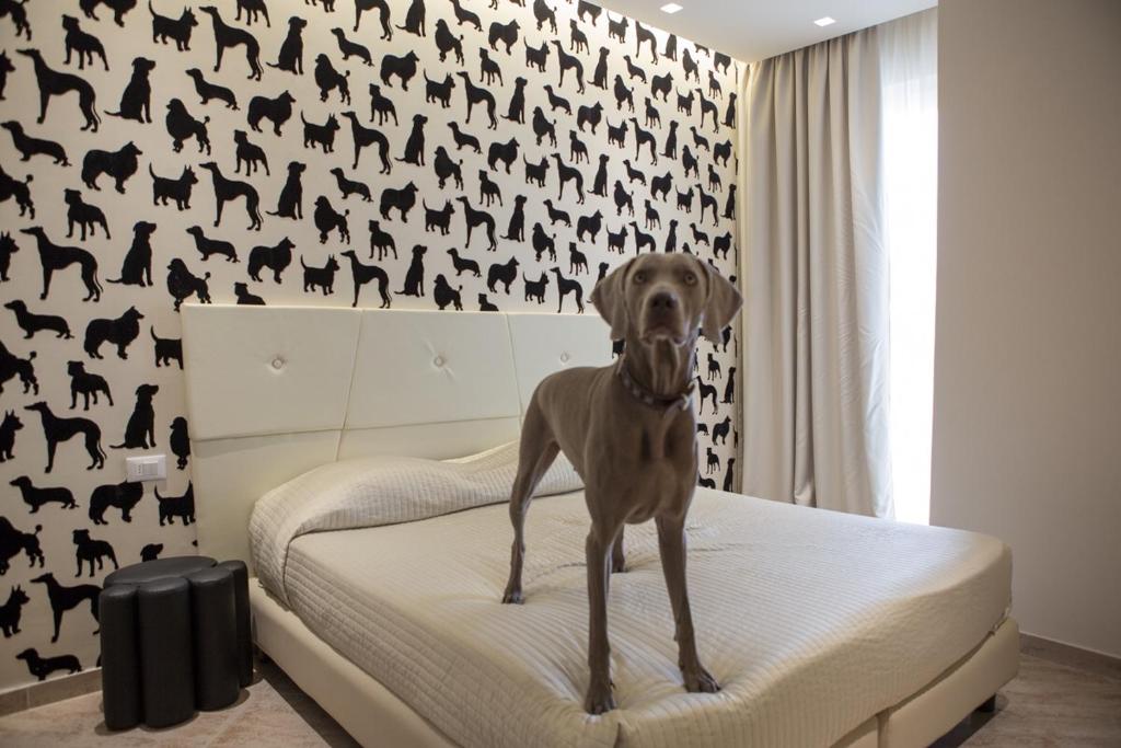 Postel nebo postele na pokoji v ubytování Hotel Principe
