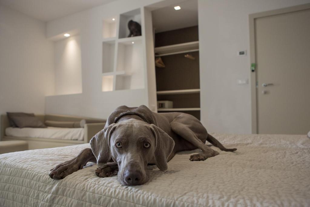 Postel nebo postele na pokoji v ubytování Hotel Principe
