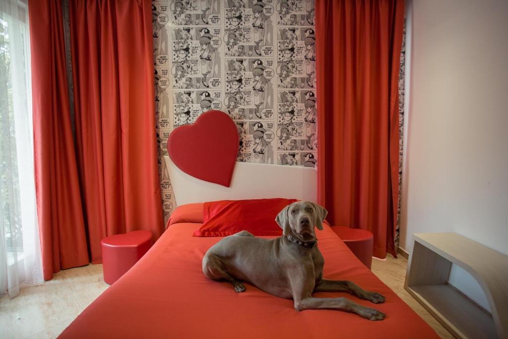 a dog laying on a bed in a bedroom at Hotel Principe in Rimini