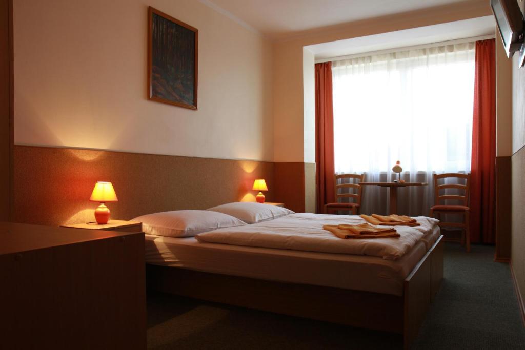プラハにあるPension FOXのベッドと窓が備わるホテルルーム