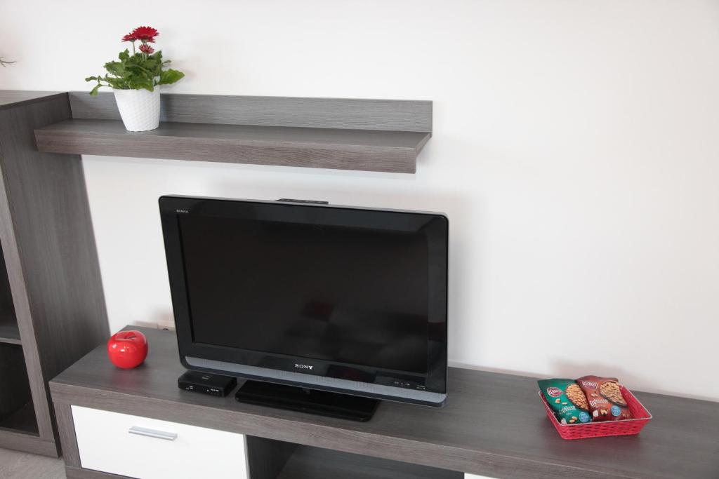 TV a/nebo společenská místnost v ubytování Ferienhaus Oberlausitz