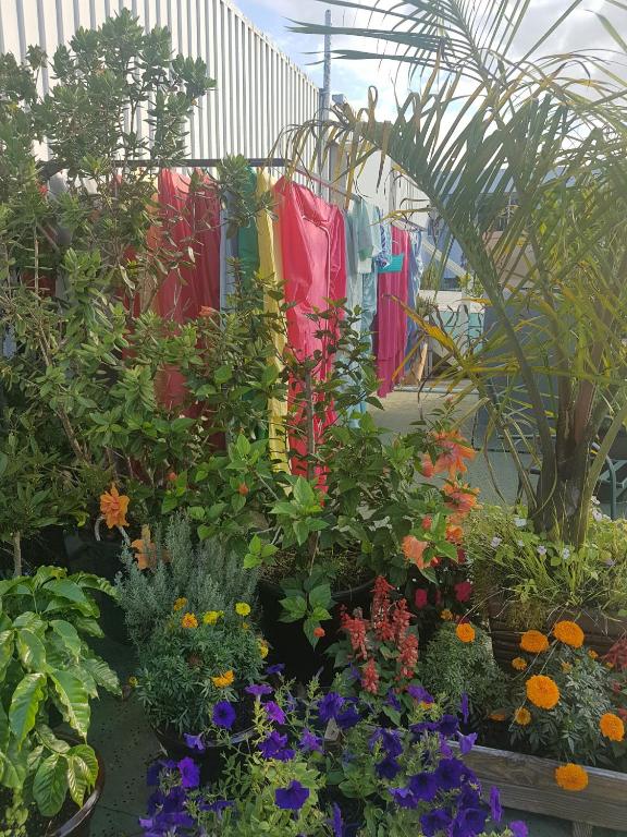 The Cell Block Backpackers - Resim 26