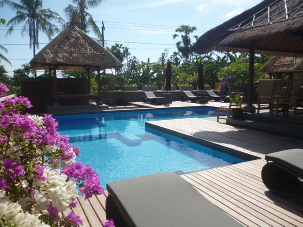 - une piscine avec des chaises et des fleurs violettes dans l'établissement Le Jardin, à Amed