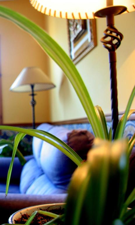Posezení v ubytování Hostal Casa Barranco