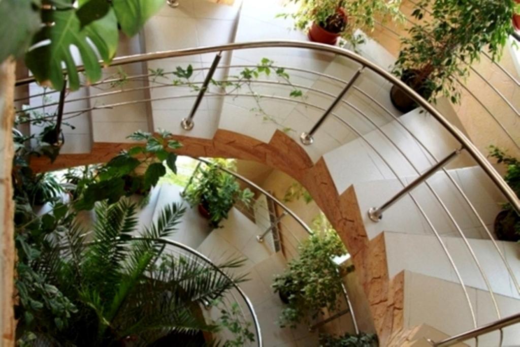 Zahrada ubytování Edem Hotel