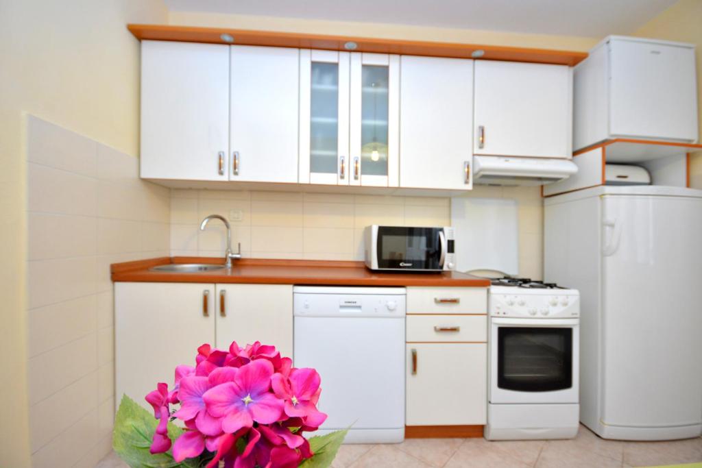 Kuchyň nebo kuchyňský kout v ubytování Apartments Regina