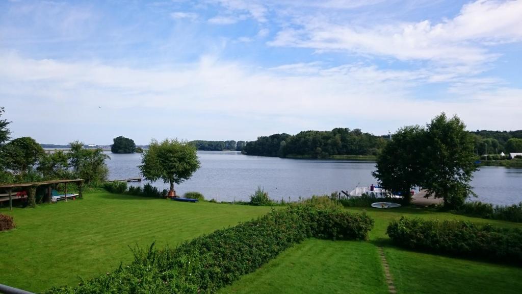 a view of a body of water with a grassy field at Gasthaus Zum Frohsinn in Bosau