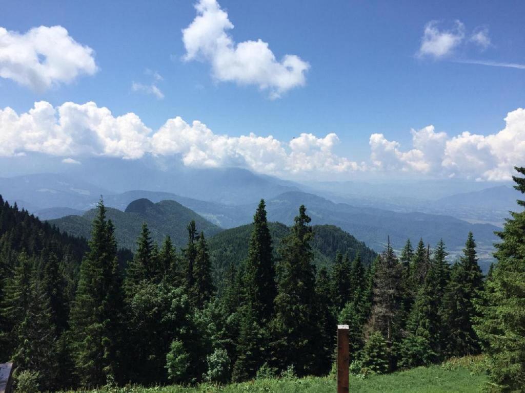 Apartament Alpin Poiana Brasov , etaj 8 - Resim 30