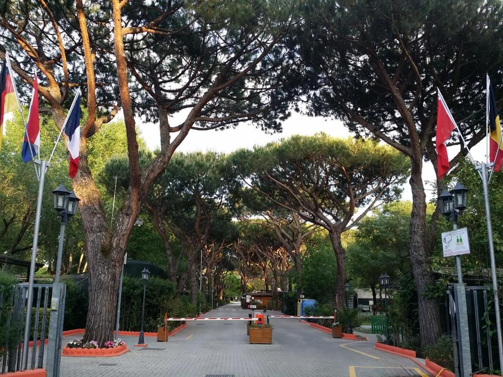 Kép Camping Dal Pino szállásáról Marina di Massában a galériában