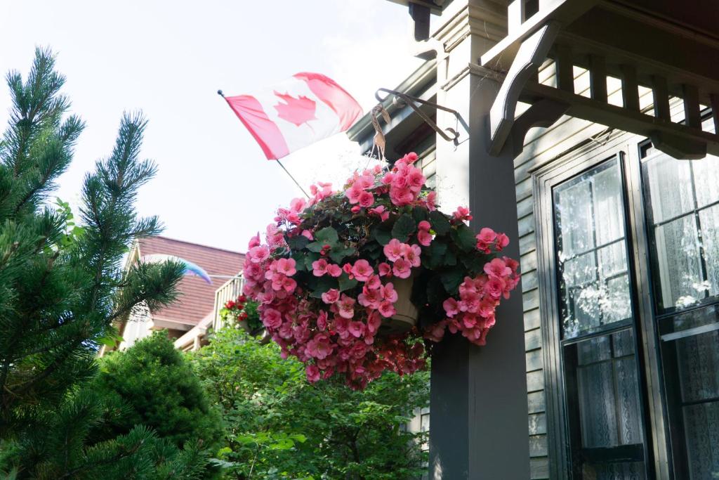 A garden outside Shipwright Inn