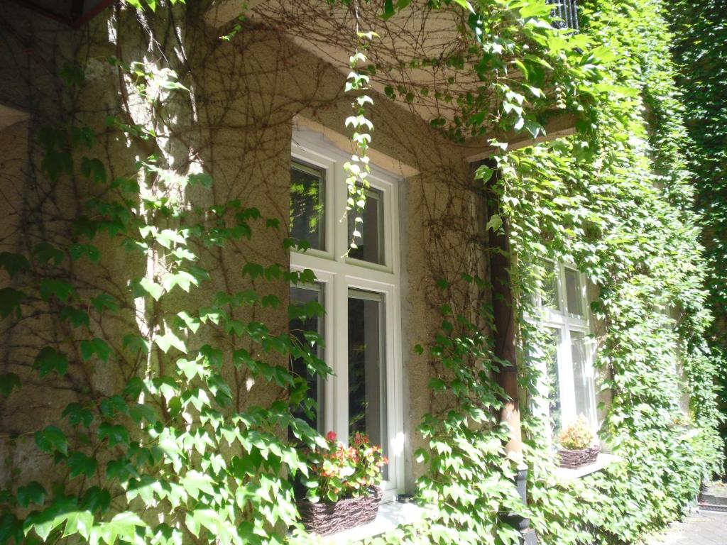 Vonkajšia záhrada v ubytovaní Apartament Jonek