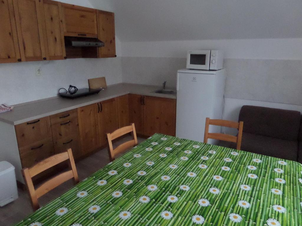Kuchyň nebo kuchyňský kout v ubytování Apartman Svoboda