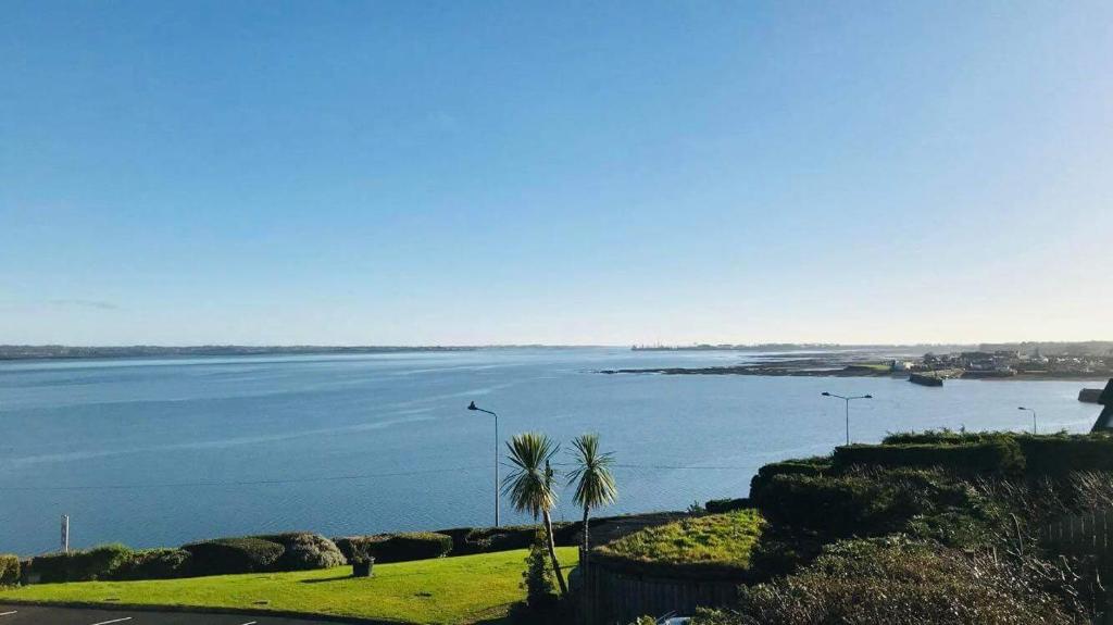 a view of a large body of water with palm trees at Wildwood Lodge in Carlingford