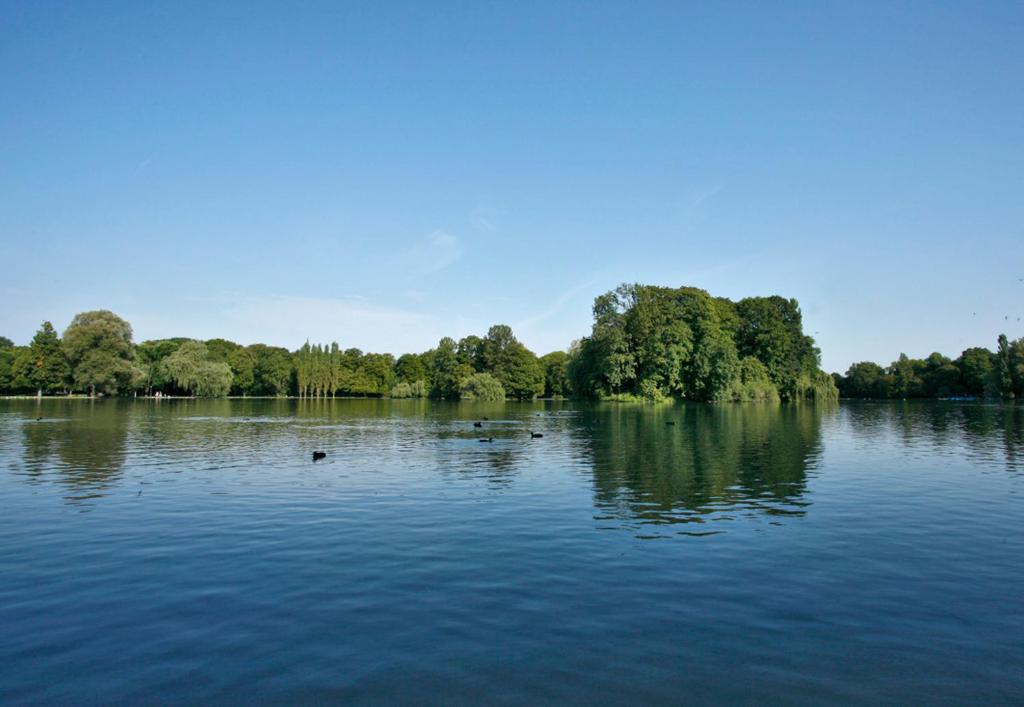 duże jezioro z kaczkami pływającymi w wodzie w obiekcie Hotel Biederstein am Englischen Garten w Monachium