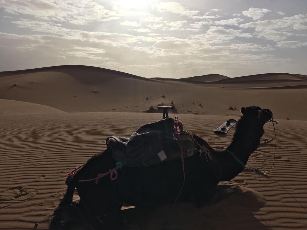 Foto sihtkohas Mhamid asuva majutusasutuse Camp Desert Stars galeriist