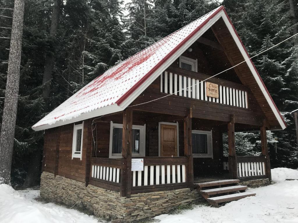 eine kleine Holzhütte mit Schnee auf dem Dach in der Unterkunft Chalet Sofia in Borowez