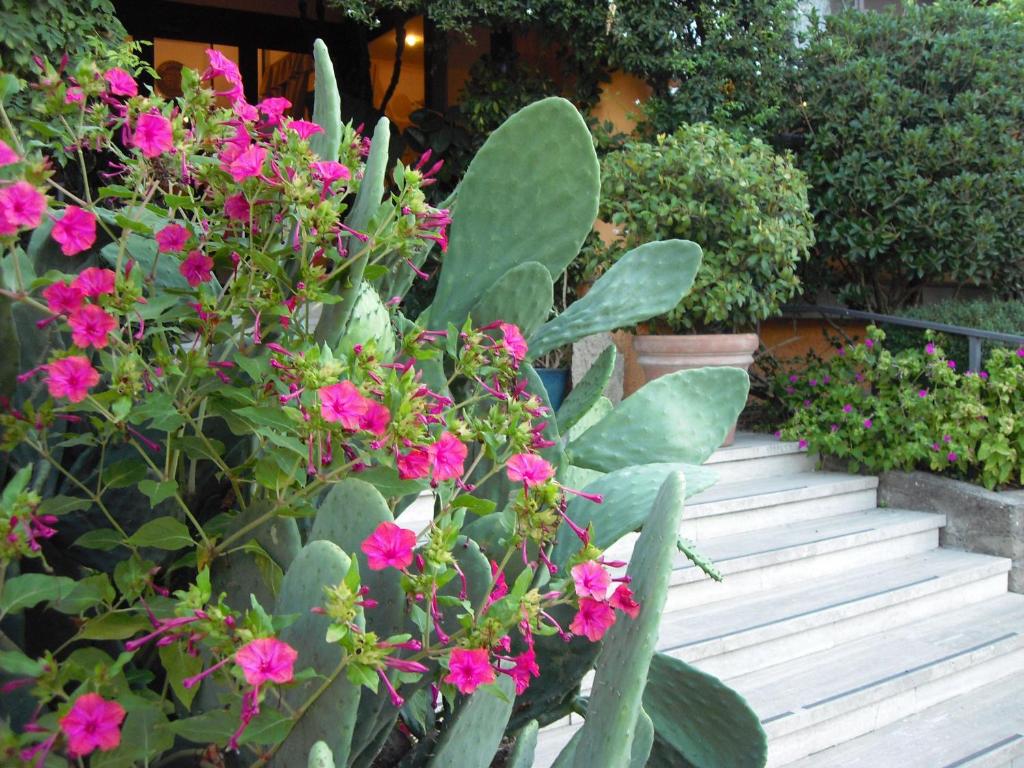 Zahrada ubytování Hotel Il Casale
